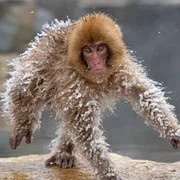 Олег Марков