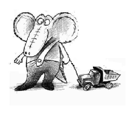 Игорь Цуцунава