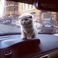 Руслан Стечкин