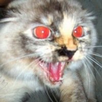 Оксана Иванова