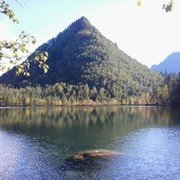 Андрей Надежкин