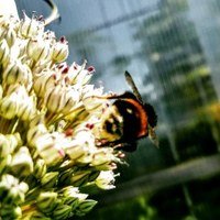 Илья Михайлов