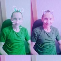 Николай Чемеков