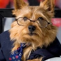 Роман Шилов