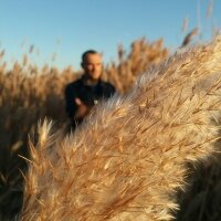 Михаил Колесников