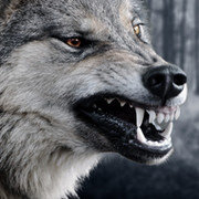 сергей бледнов