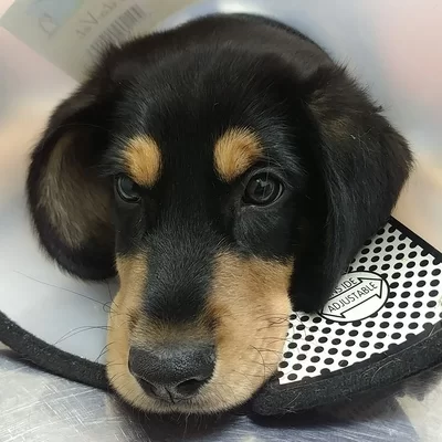 Евгений Рыжаков