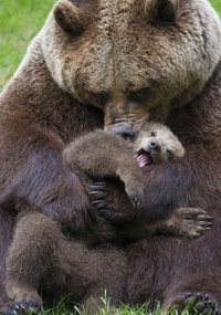 Алексей Смирнов_2