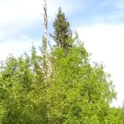 Домкрат33