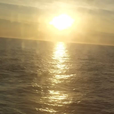 Александр Алчинов