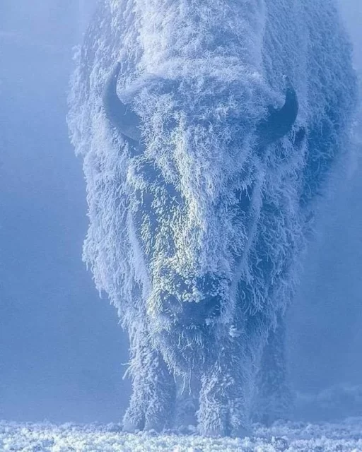 Ознобишин Сергей