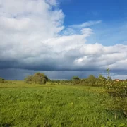 Андрей_31