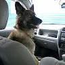 Костя С