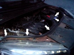 после установки дополнительного уплотнителя под капотом XRAY