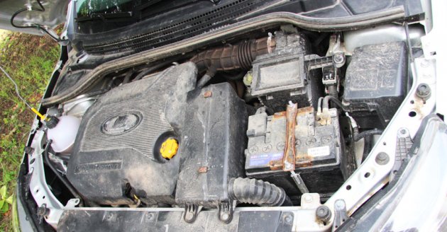 ржавчина на весте/xray