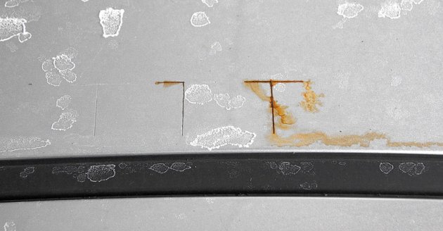 ржавчина на весте/xray