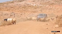 LADA 4x4 в Ливане (фото и видео)