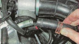 Отсоединить шланг большой ветви системы вентиляции картера, сжав усики хомута.
