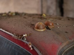 Продается Lada 4x4, участвовавшая в ралли-рейде «Париж-Дакар»