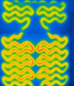 Фото Lada XRAY через тепловизор (как автомобиль держит тепло)