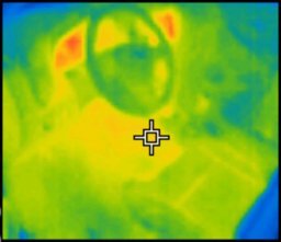 Фото Lada XRAY через тепловизор (как автомобиль держит тепло)
