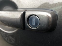 личинка замка лада гранта