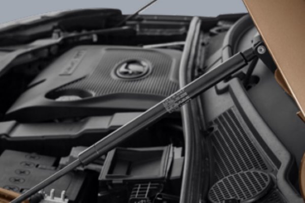 Комплект амортизаторов капота для Lada XRAY