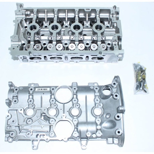 Головка блока цилиндров в сборе двигателя K4M для Lada Largus
