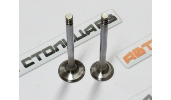 Клапаны ГРМ двигателя ВАЗ 21126 16-клапанов