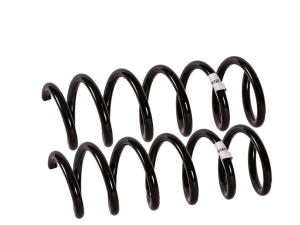 Пружины задние усиленные Фобос Стандарт для Lada XRAY