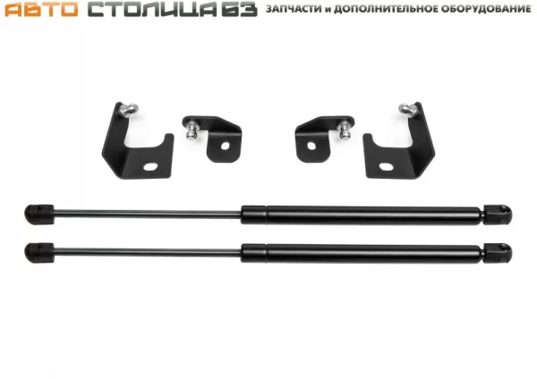 Газовые упоры капота Pneumatic для Lada Vesta