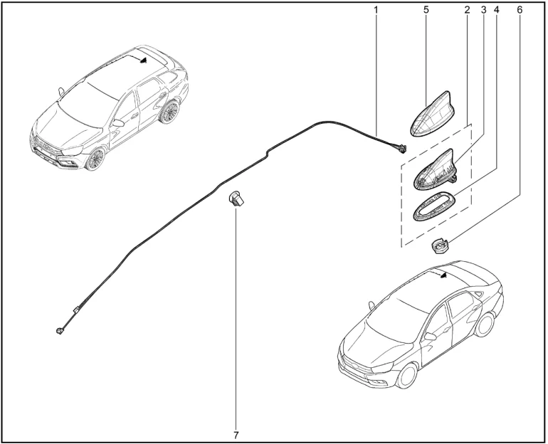 Антенна (плавник)