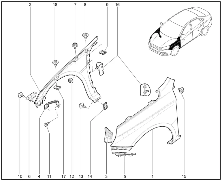 Крылья передние