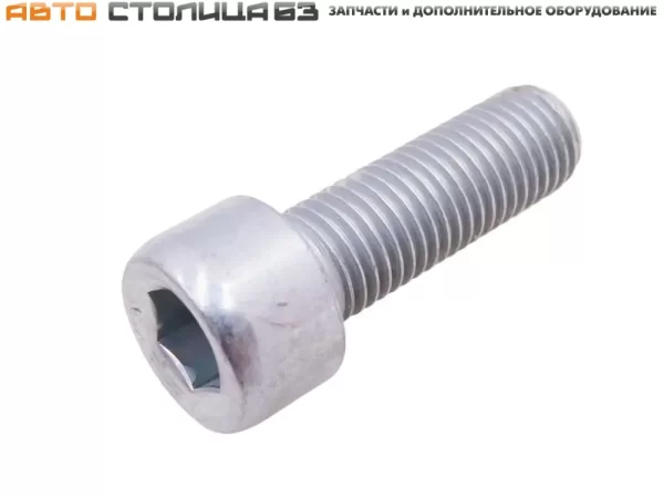 Болт М10х30х1,25 с внутренним шестигранником